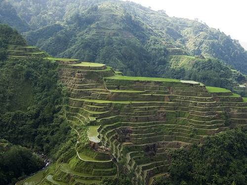 Banaue Rice Terraces